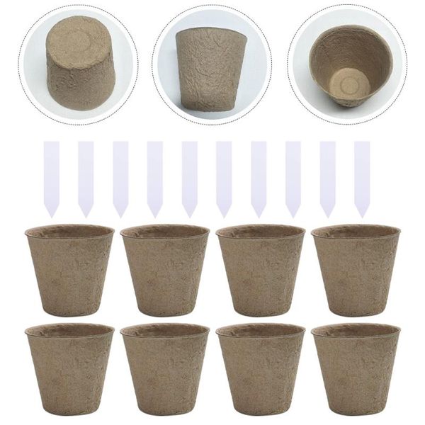 disposable gloves 110pcs biodegradable plant seed starter pots kit succulent planter nursery
disposable gloves 110pcs biodegradable plant seed starter pots kit succulent planter nursery