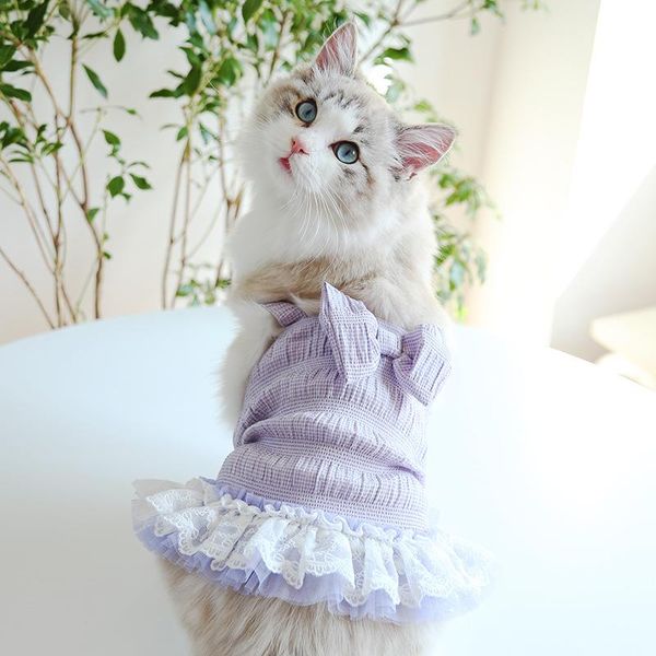 dog apparel purple clothes dress bowknot pet clothing sweet cute fashion dogs costume spring summer breathable chihuahua ropa para perro
dog apparel purple clothes dress bowknot pet clothing sweet cute fashion dogs costume spring summer breathable chihuahua ropa para perro