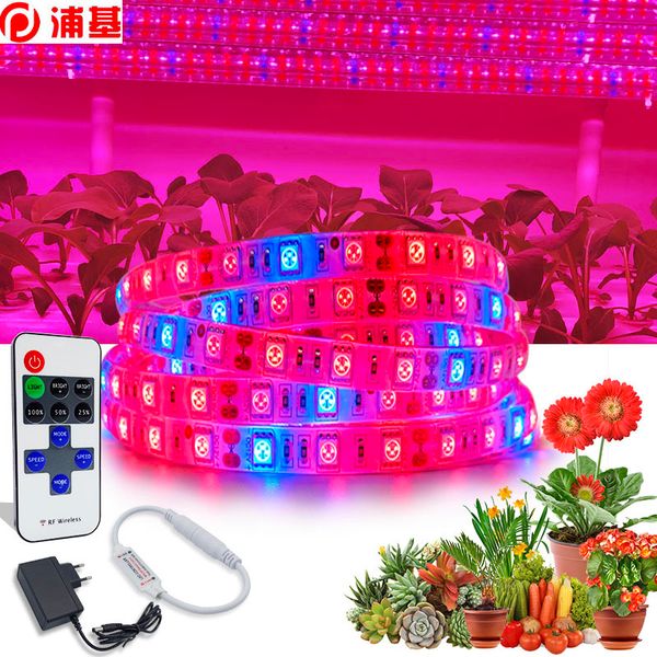 5m led plant grow light full spectrum 5050 grow lamps waterproof led lamp phyto lamp for greenhouse flower seed plant
5m led plant grow light full spectrum 5050 grow lamps waterproof led lamp phyto lamp for greenhouse flower seed plant