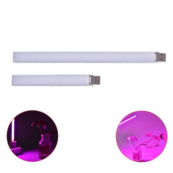 led grow light usb dc 5v fitolampy for plants red blue led plant grow light lamps lights bulb phytolamp
led grow light usb dc 5v fitolampy for plants red blue led plant grow light lamps lights bulb phytolamp