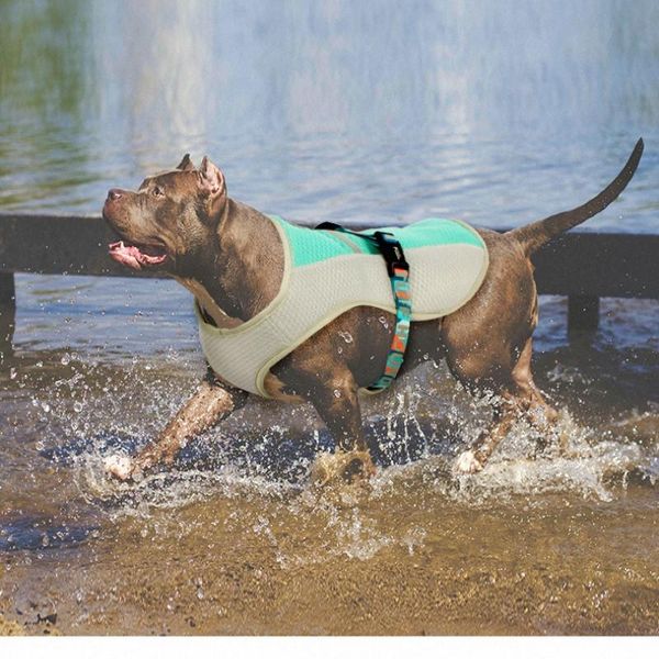 dog collars & leashes summer cooling harness vest adjustable pet mesh reflective coat cooler jacket clothes quick release
dog collars & leashes summer cooling harness vest adjustable pet mesh reflective coat cooler jacket clothes quick release