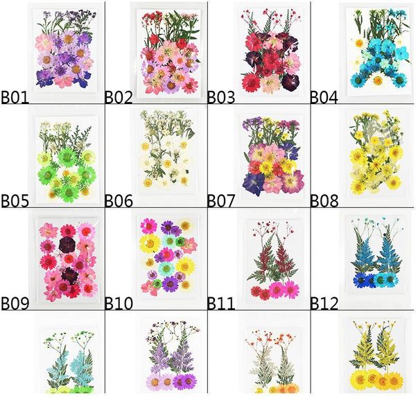 small dried flowers pressed flower diy scrapbooking preserved flower for home wedding party decoration mini bloemen flor jllniv
small dried flowers pressed flower diy scrapbooking preserved flower for home wedding party decoration mini bloemen flor jllniv