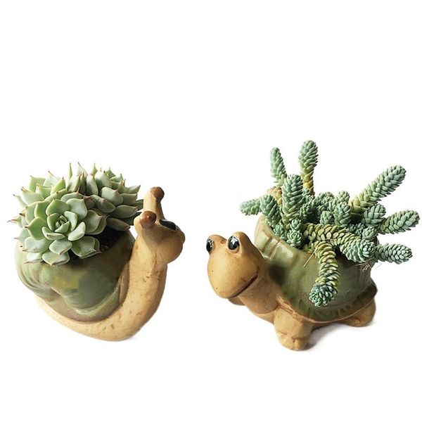 planters & pots cartoon cute tortoise hedgehog snails animal shaped mini flower pot for succulents planter flowerpot ceramic home garden dec
planters & pots cartoon cute tortoise hedgehog snails animal shaped mini flower pot for succulents planter flowerpot ceramic home garden dec