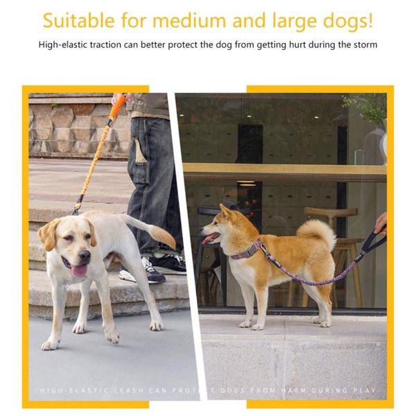 dog collars & leashes pet leash durable training walking with 2 handles for extra control heavy duty traffic lead rope
dog collars & leashes pet leash durable training walking with 2 handles for extra control heavy duty traffic lead rope