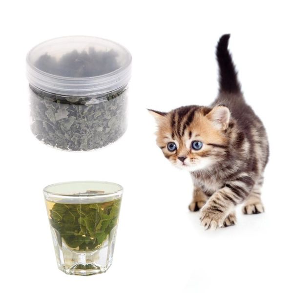 cat carriers,crates & houses t84e natural silvervine leaves catnip dried polygonum matatabi toys flavor
cat carriers,crates & houses t84e natural silvervine leaves catnip dried polygonum matatabi toys flavor