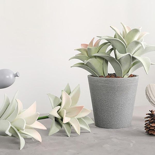 mini artificial succulent plant bonsai fake pineapple leaf balcony deskdecor lotus landscape decorative garden arrangement 
mini artificial succulent plant bonsai fake pineapple leaf balcony deskdecor lotus landscape decorative garden arrangement