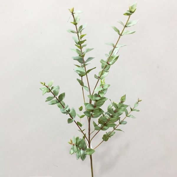 decorative flowers & wreaths 96cm 6pcs artificial plants faux heart-shaped eucalyptus leaf fake money leafs plastic green plant wedding shoo
decorative flowers & wreaths 96cm 6pcs artificial plants faux heart-shaped eucalyptus leaf fake money leafs plastic green plant wedding shoo