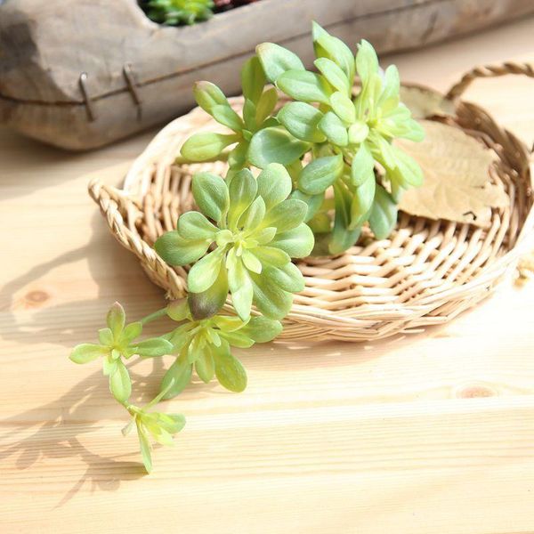 decorative flowers & wreaths artificial succulent wedding christmas party decoration fake plants grass leaves diy flower arrangement accesso
decorative flowers & wreaths artificial succulent wedding christmas party decoration fake plants grass leaves diy flower arrangement accesso