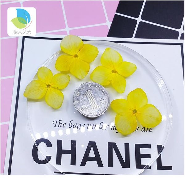 hydrangea small real dried flower dry plants for candle epoxy resin pendant necklace jewelry making craft diy a qylzwx
hydrangea small real dried flower dry plants for candle epoxy resin pendant necklace jewelry making craft diy a qylzwx