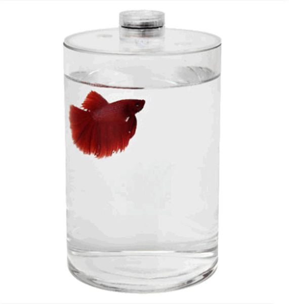 deskbetta fish tank mini live fighting fish tank office deskdiy small micro landscape hd glass
deskbetta fish tank mini live fighting fish tank office deskdiy small micro landscape hd glass