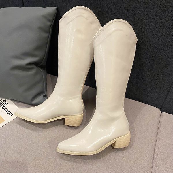 long 2021 autumn winter pointed thick heel high knee zipper wtern cowboy boots 188-2, Black
long 2021 autumn winter pointed thick heel high knee zipper wtern cowboy boots 188-2, Black