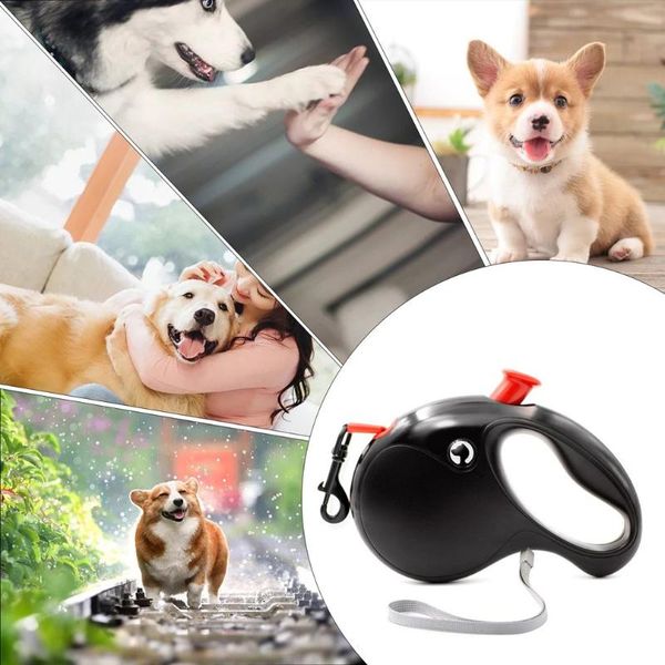 dog collars & leashes retractable pet automatic roulette leash reflective traction rope walking lead belt for small large dogs
dog collars & leashes retractable pet automatic roulette leash reflective traction rope walking lead belt for small large dogs