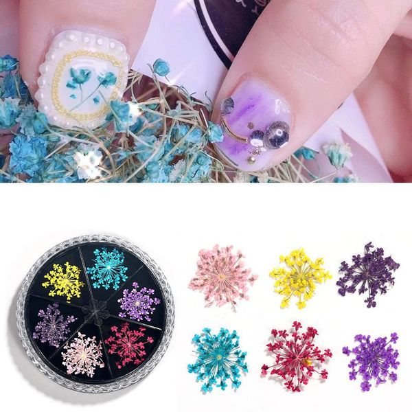 nail art decorations 1 box of 6 colors mixed dried flower decoration color natural 3d beauty flowerdiy accessories, Silver;gold
nail art decorations 1 box of 6 colors mixed dried flower decoration color natural 3d beauty flowerdiy accessories, Silver;gold