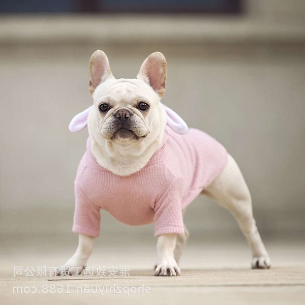 rabbit ear, dog, teddy, fadou, cat, pet, autumn, winter, spring, summer, spring and autumn
rabbit ear, dog, teddy, fadou, cat, pet, autumn, winter, spring, summer, spring and autumn