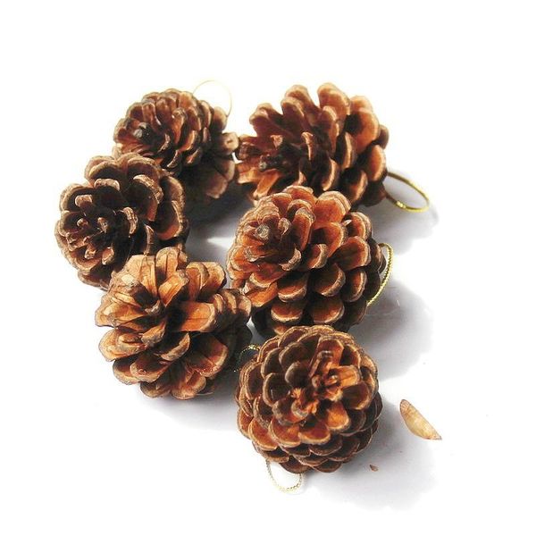 christmas decorations festive supplies natural primary colors 4-5cm pine cone tree pendant venue decoration
christmas decorations festive supplies natural primary colors 4-5cm pine cone tree pendant venue decoration