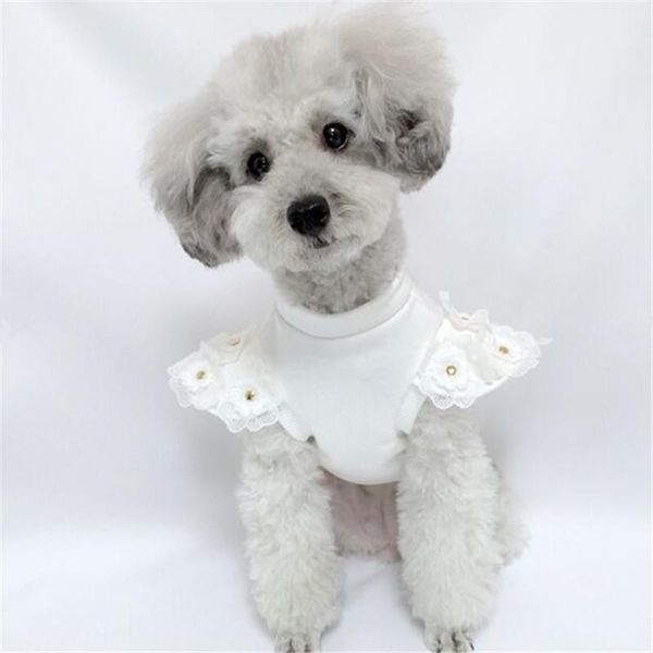 winter dog shirt small dog hoodie cat yorkshire pomeranian poodle bichon schnauzer costume pet clothes puppy clothing coat
winter dog shirt small dog hoodie cat yorkshire pomeranian poodle bichon schnauzer costume pet clothes puppy clothing coat