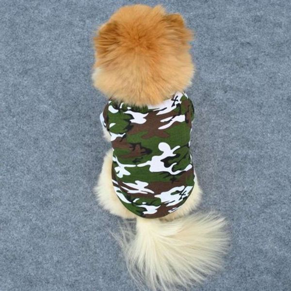 pet dog camouflage t-shirt teddy clothing spring and summer
pet dog camouflage t-shirt teddy clothing spring and summer