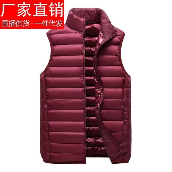 autumn and winter down vest light casual men's coat korean version handsome large shoulder jacket trend, Black;white
autumn and winter down vest light casual men's coat korean version handsome large shoulder jacket trend, Black;white