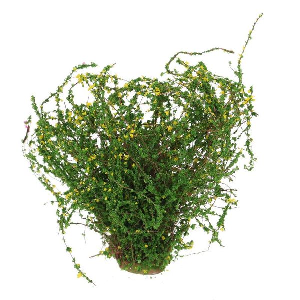4pcs artificial flowers milan grain milan grass potted flower arrangement simulation plant accessories weddding decoration
4pcs artificial flowers milan grain milan grass potted flower arrangement simulation plant accessories weddding decoration