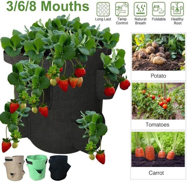 planters & pots home garden planting bags greenhouse vegetable plant growth bag flower tool supplies seedling growing
planters & pots home garden planting bags greenhouse vegetable plant growth bag flower tool supplies seedling growing