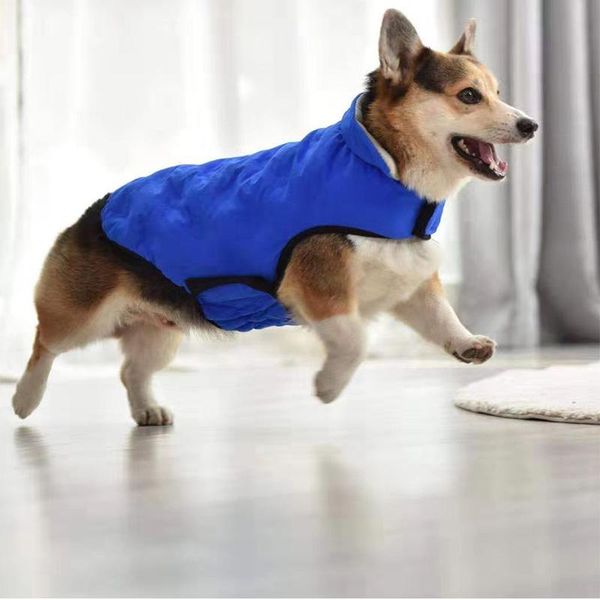 dog apparel winter cotton-padded clothes with high-quality buckle double-layer thick warm inner lining pet supplies
dog apparel winter cotton-padded clothes with high-quality buckle double-layer thick warm inner lining pet supplies