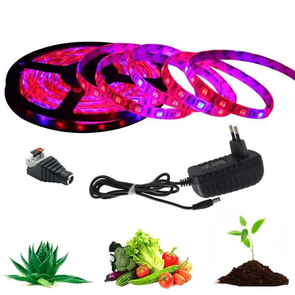 5m led grow light strip full spectrum uv lamps for plants phyto flexible tape with adapter for greenhouse grow tent hydroponic
5m led grow light strip full spectrum uv lamps for plants phyto flexible tape with adapter for greenhouse grow tent hydroponic