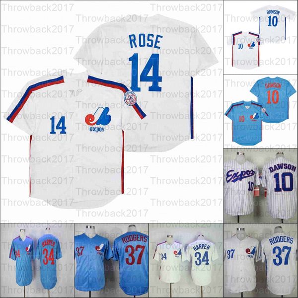 retro baseball 1982 and 2000 home jersey 14 rose 10 dawson 33 walker 34 harper 37 roogers, Blue;black
retro baseball 1982 and 2000 home jersey 14 rose 10 dawson 33 walker 34 harper 37 roogers, Blue;black
