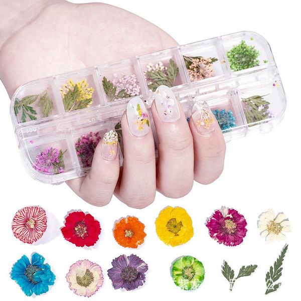 nail art decorations 12 grid mix dried flowers natural floral leaf stickers 3d designs polish manicure accessories, Silver;gold
nail art decorations 12 grid mix dried flowers natural floral leaf stickers 3d designs polish manicure accessories, Silver;gold