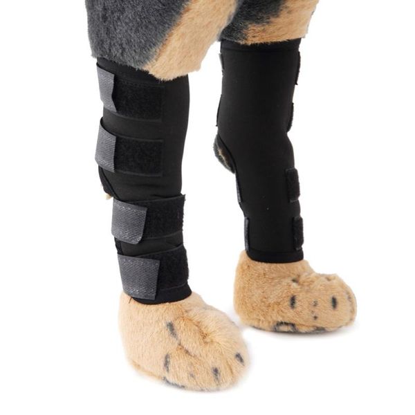 dog apparel pet cat knee joint leg protector calf brace support for avoiding lnjury protects wounds as they heal compression heals
dog apparel pet cat knee joint leg protector calf brace support for avoiding lnjury protects wounds as they heal compression heals