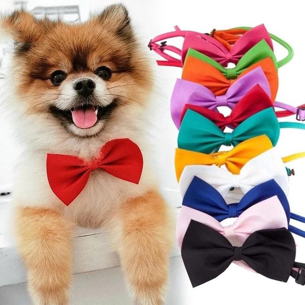 pet supplies pet dog cat necklace cat collar adjustable leash dog accessories bow puppy bow
pet supplies pet dog cat necklace cat collar adjustable leash dog accessories bow puppy bow