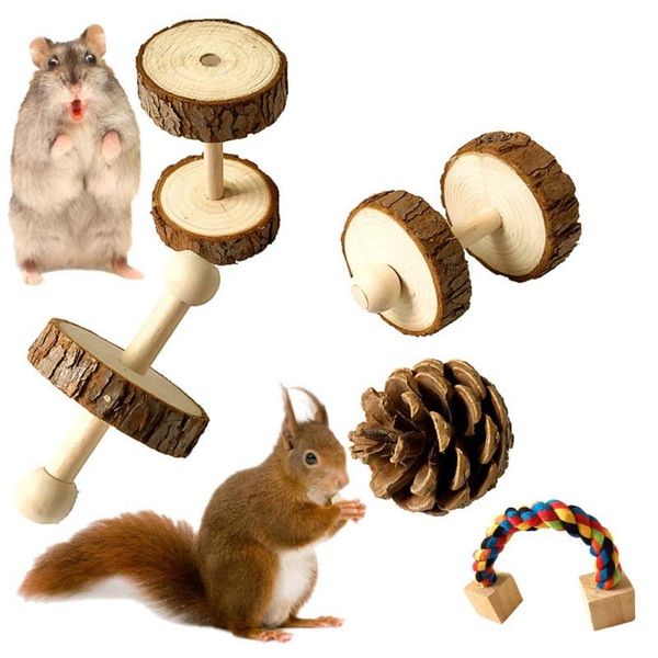 5pcs/pack hamster wooden chew parrot teeth care biting molar assorted toys set sports accessories for rat small pet
5pcs/pack hamster wooden chew parrot teeth care biting molar assorted toys set sports accessories for rat small pet