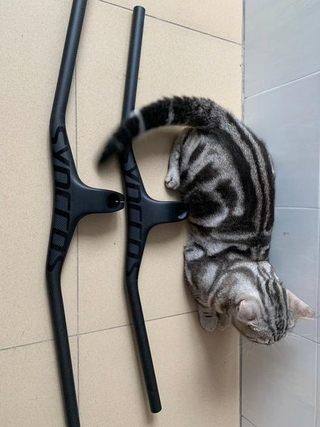 bike handlebars &components gemini mtb unibody carbon handlebar parts super light and strong
bike handlebars &components gemini mtb unibody carbon handlebar parts super light and strong