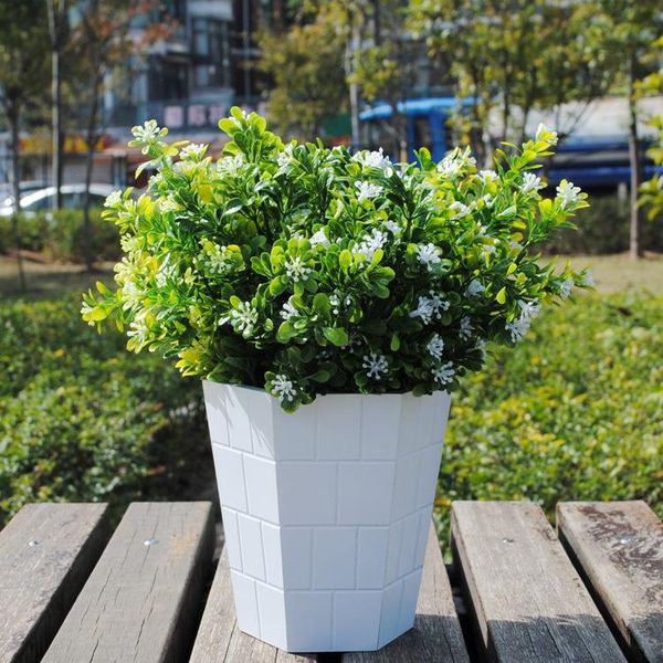 simulation flower flowers plastic fake green plant pot plants living room decoration decoration p props milan
simulation flower flowers plastic fake green plant pot plants living room decoration decoration p props milan