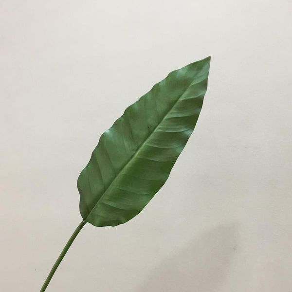 ins wind northern european-style artificial plant imitation flowers green leaves bird of paradise leaf living room table artific
ins wind northern european-style artificial plant imitation flowers green leaves bird of paradise leaf living room table artific