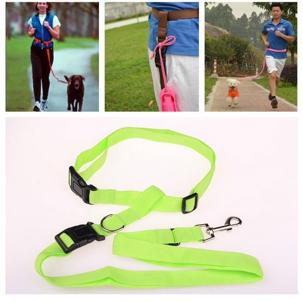 dog collars & leashes quevinal strong nylon hand leash pet leads for running jogging hiking walking 6 colors
dog collars & leashes quevinal strong nylon hand leash pet leads for running jogging hiking walking 6 colors