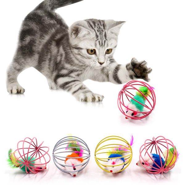 cat toys didihou pet mouse in cages funny toy random color
cat toys didihou pet mouse in cages funny toy random color