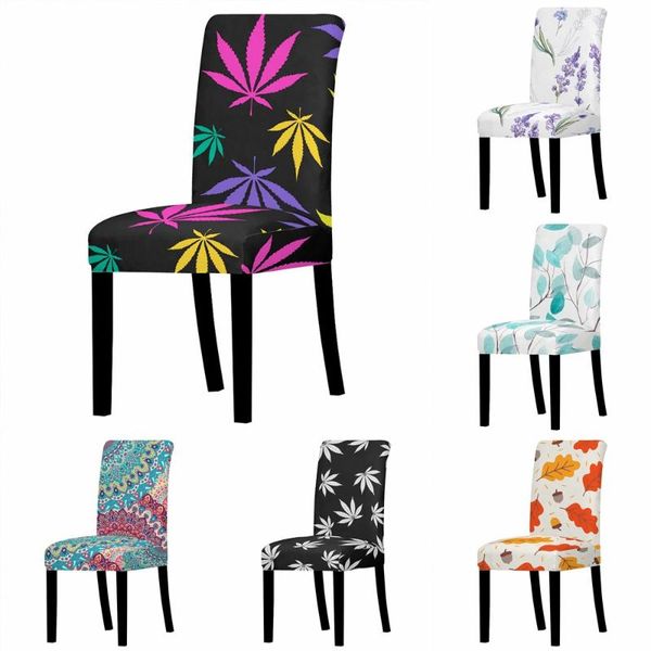 chair covers watercolor fower leaves removable cover big elastic slipcover abstract colored leaf seat case stretch banquet
chair covers watercolor fower leaves removable cover big elastic slipcover abstract colored leaf seat case stretch banquet