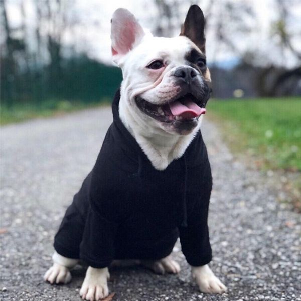 fashion cassic pet dog cothes for sma dogs cothing french budog hoodies dog accessories chihuahua cotton coat pc1034
fashion cassic pet dog cothes for sma dogs cothing french budog hoodies dog accessories chihuahua cotton coat pc1034