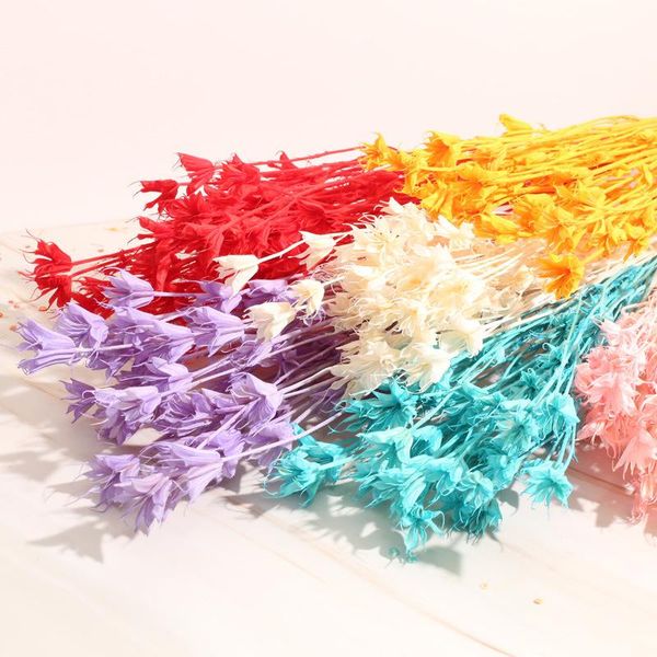 decorative flowers & wreaths natural preserved dried octagonal floral arrangement home wedding valentine decoration accessories shooting pro
decorative flowers & wreaths natural preserved dried octagonal floral arrangement home wedding valentine decoration accessories shooting pro