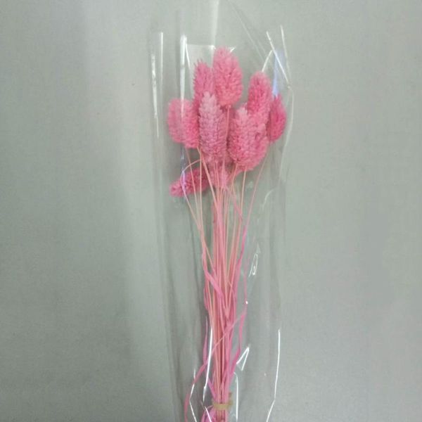 gem grass dry flower bouquet diy home decoration eternal flower pgraphy props natural plant dried wheat decor
gem grass dry flower bouquet diy home decoration eternal flower pgraphy props natural plant dried wheat decor
