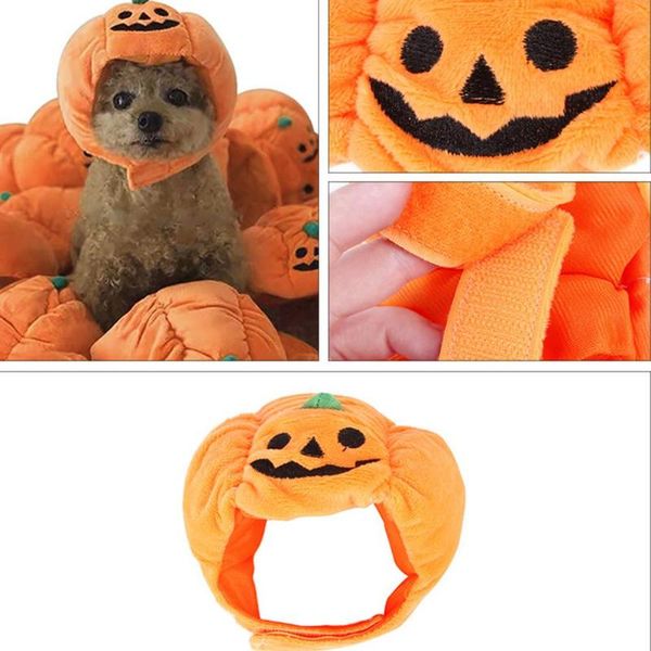 dog apparel halloween pet pumpkin hat cat fancy party dress up headdress cute puppy kitten decoration costume cap cats headgear
dog apparel halloween pet pumpkin hat cat fancy party dress up headdress cute puppy kitten decoration costume cap cats headgear