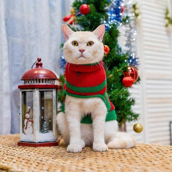 cat costumes elastic beautiful pet cats knitted costume soft texture clothes close fitting for kitty
cat costumes elastic beautiful pet cats knitted costume soft texture clothes close fitting for kitty