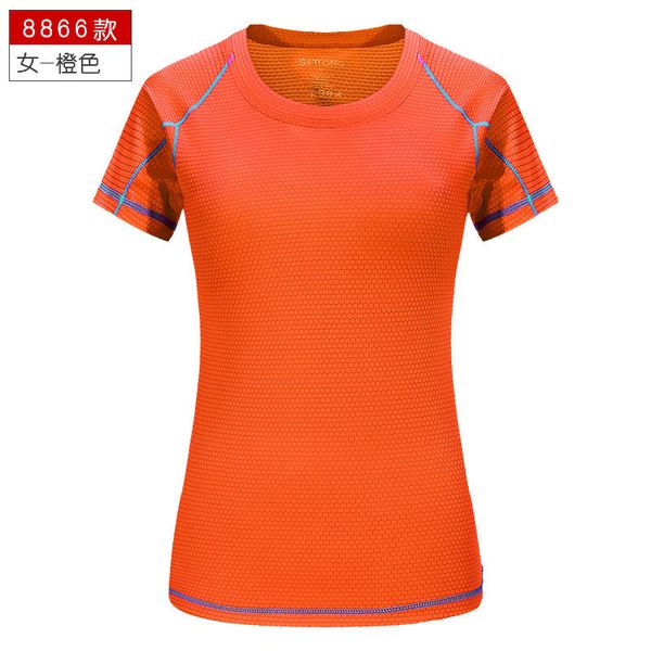 quick-drying short-sleeved orange loose suit summer outdoor female sports t-shirt, Black;yellow
quick-drying short-sleeved orange loose suit summer outdoor female sports t-shirt, Black;yellow