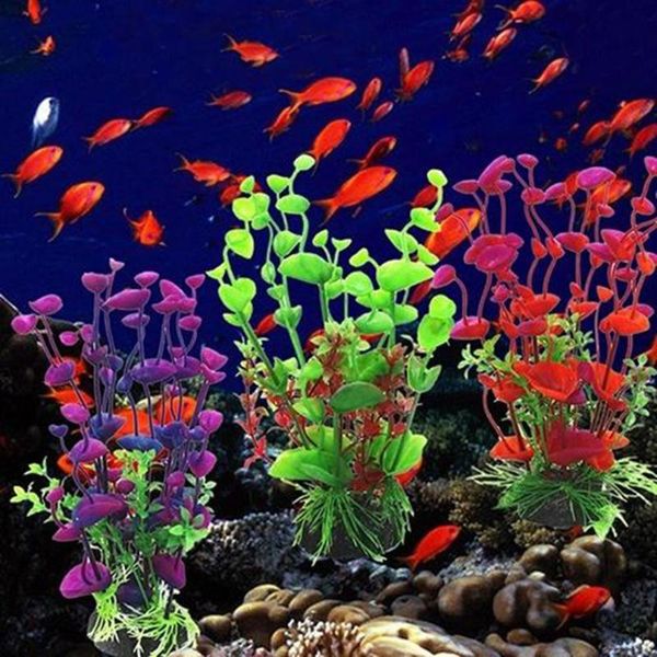 decorations 6pcs simulation artificial plants aquarium decor water ornament plant fish tank grass random color
decorations 6pcs simulation artificial plants aquarium decor water ornament plant fish tank grass random color