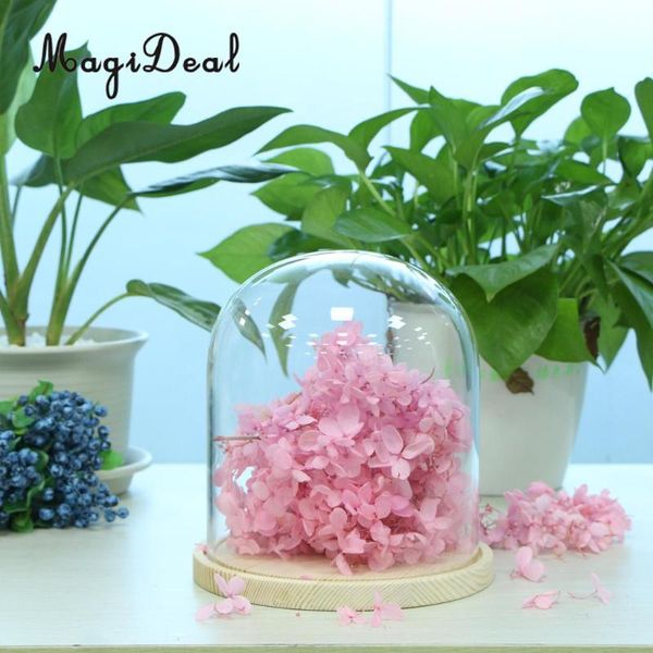 vases magideal glass landscape flower container party cupcake cover dome with wooden base
vases magideal glass landscape flower container party cupcake cover dome with wooden base
