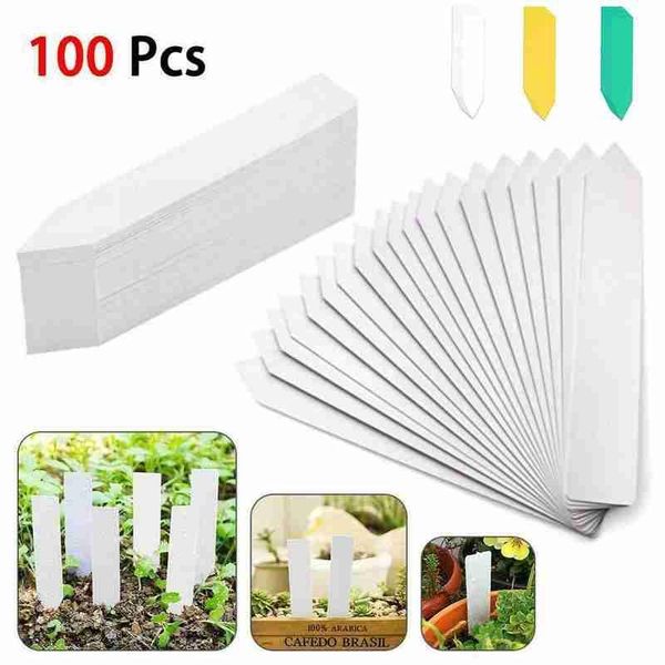 garden decorations 100pcs pvc plant tags labels nursery markers flower pots seedling tray mark tools accessories 1*5cm
garden decorations 100pcs pvc plant tags labels nursery markers flower pots seedling tray mark tools accessories 1*5cm