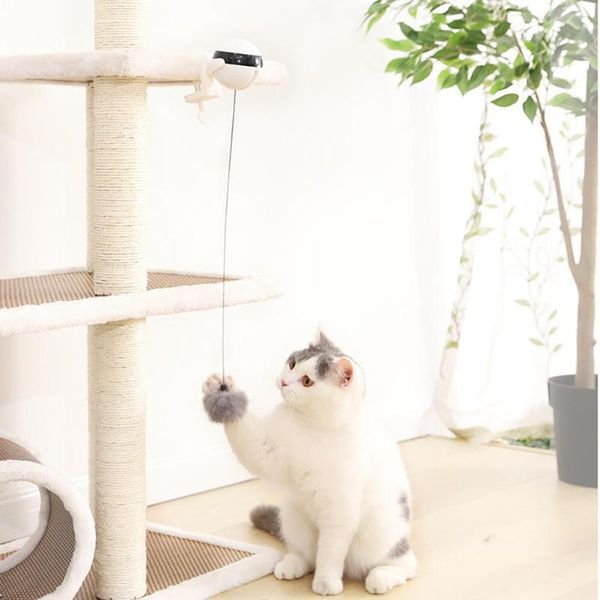 cat toys funny teaser interactive toy electric flutter rotating lifting ball for training tool
cat toys funny teaser interactive toy electric flutter rotating lifting ball for training tool