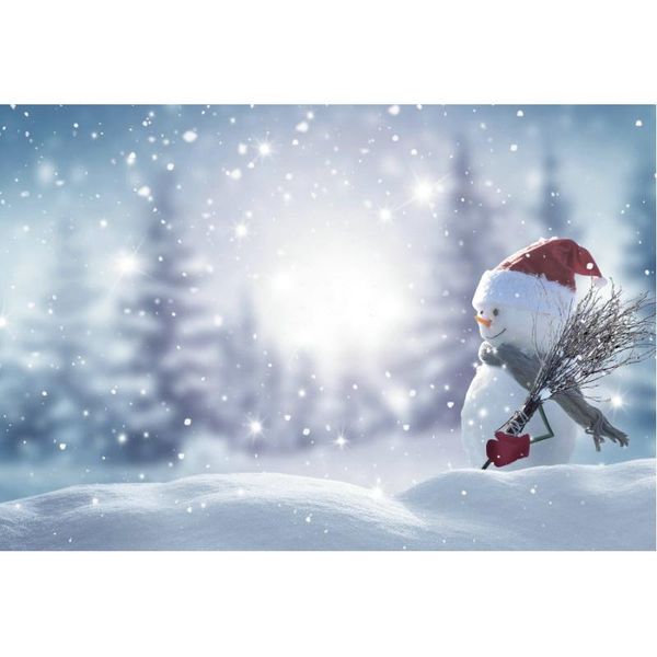 party decoration winter forest decor backdrop lovely snowman pography background natural snowflake xmas po booth
party decoration winter forest decor backdrop lovely snowman pography background natural snowflake xmas po booth