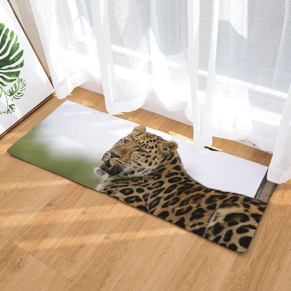 bath mats flannel long floor mat door thermal transfer cheetah kitchen bathroom water-absorbing non-slip carpet
bath mats flannel long floor mat door thermal transfer cheetah kitchen bathroom water-absorbing non-slip carpet
