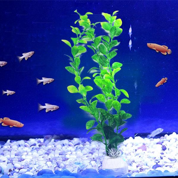 1pc plastic artificial plants aquarium decor water ornament plant fish tank aquarium natural grass landscape ornament
1pc plastic artificial plants aquarium decor water ornament plant fish tank aquarium natural grass landscape ornament